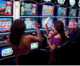 333体育官网下载正式版