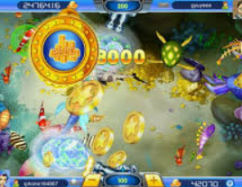 333体育官网下载2024最新版